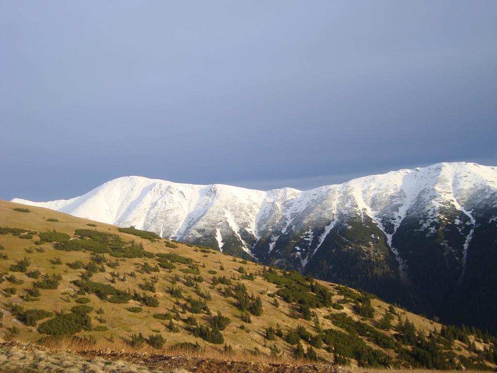 Vila Horal Liptovský Mikuláš Exteriör bild