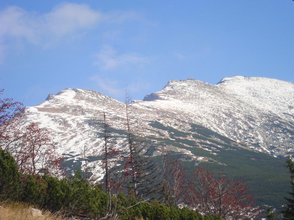 Vila Horal Liptovský Mikuláš Exteriör bild